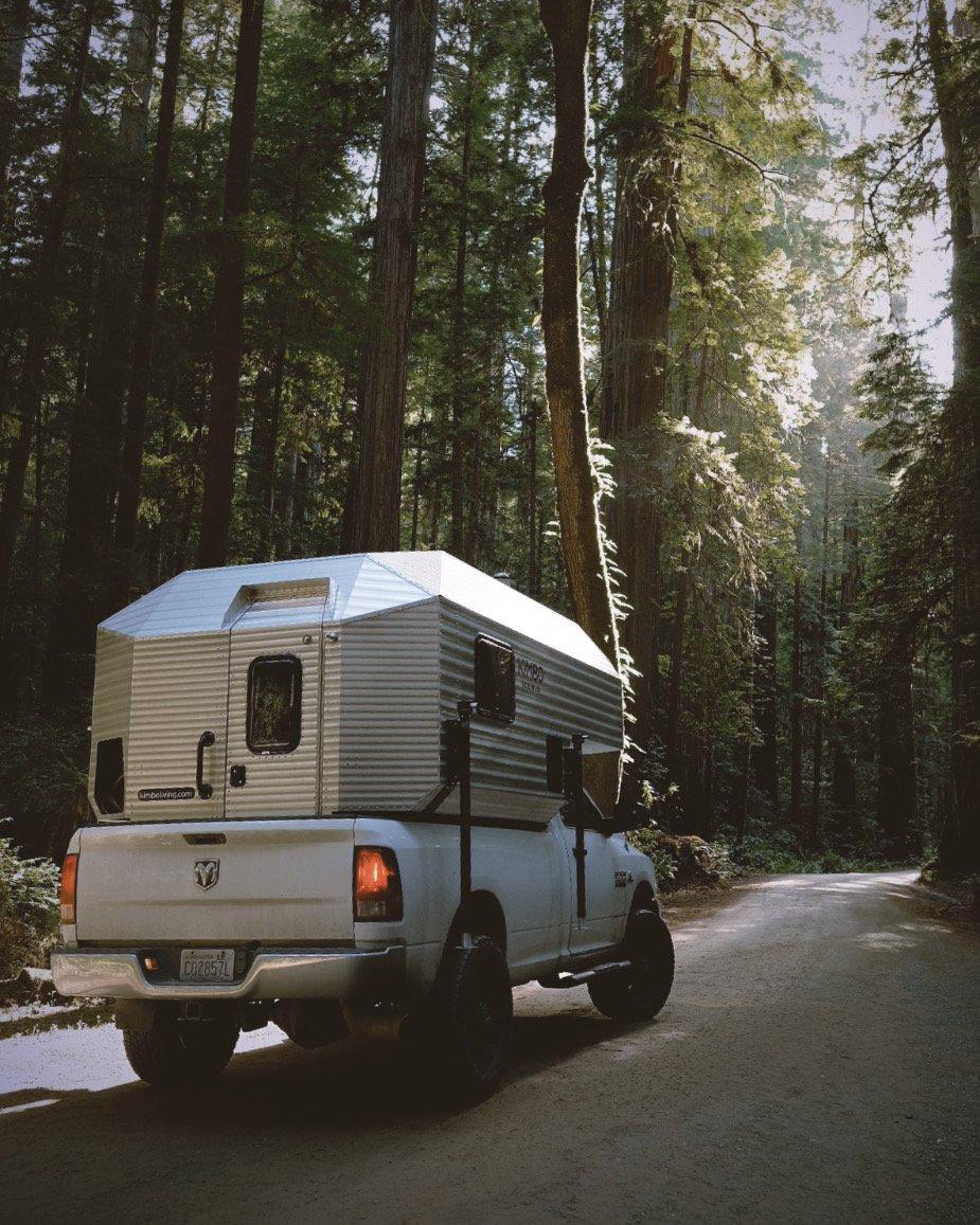 On the road through the redwoods