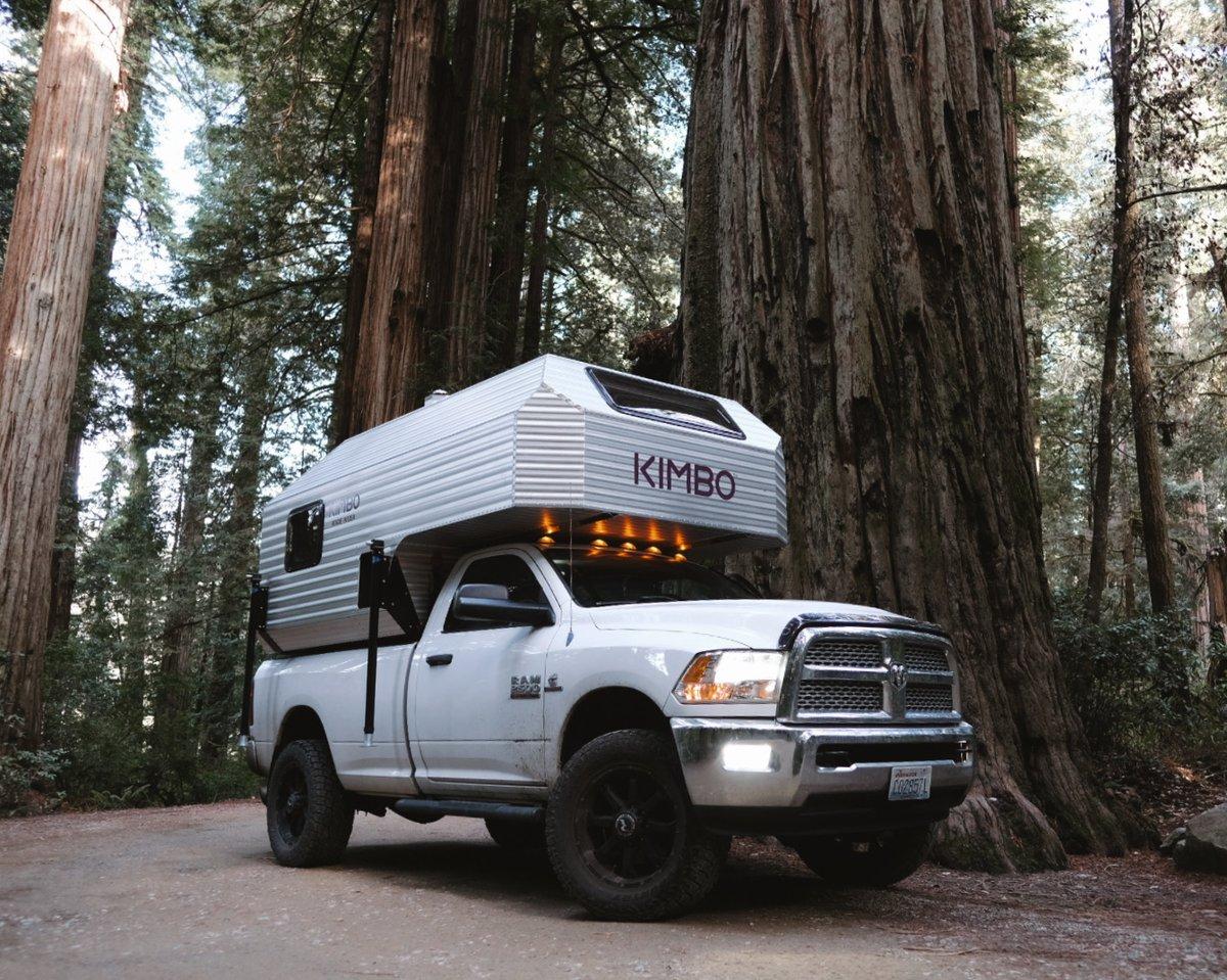 Among the redwoods